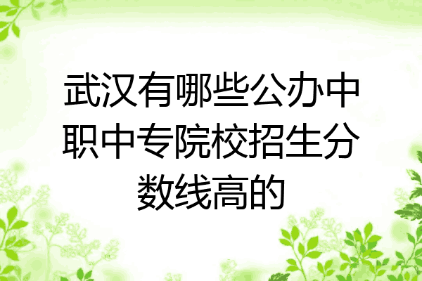 武汉有哪些公办中职中专院校招生分数线高的
