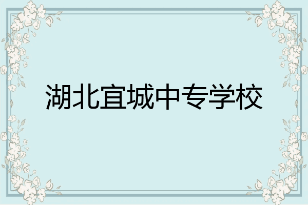 湖北宜城中专学校