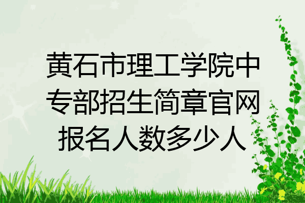 黄石市理工学院中专部招生简章官网报名人数多少人