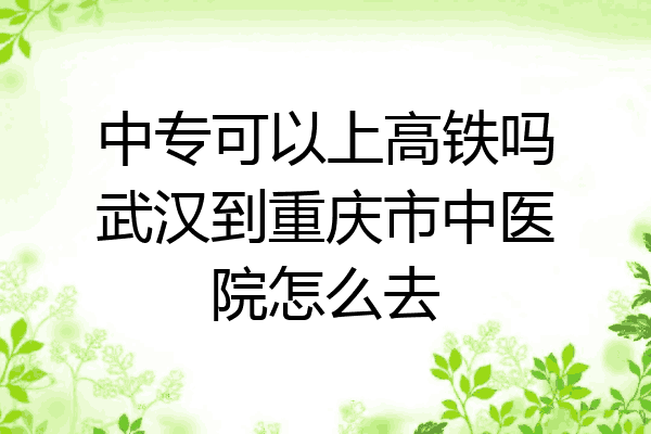 中专可以上高铁吗武汉到重庆市中医院怎么去