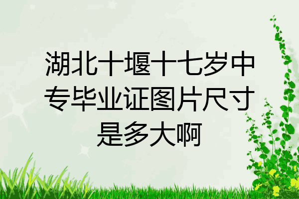 湖北十堰十七岁中专毕业证图片尺寸是多大啊
