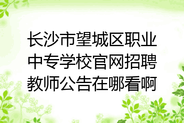 长沙市望城区职业中专学校官网招聘教师公告在哪看啊