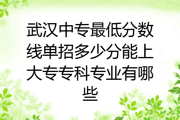 武汉中专最低分数线单招多少分能上大专专科专业有哪些