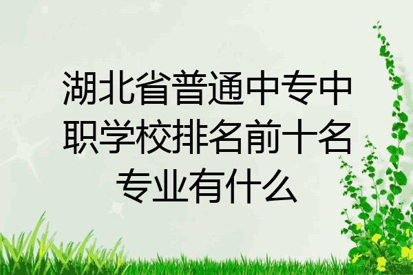 湖北省普通中专中职学校排名前十名专业有什么
