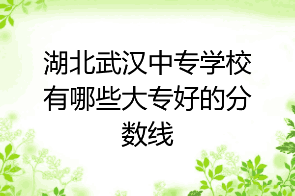 湖北武汉中专学校有哪些大专好的分数线