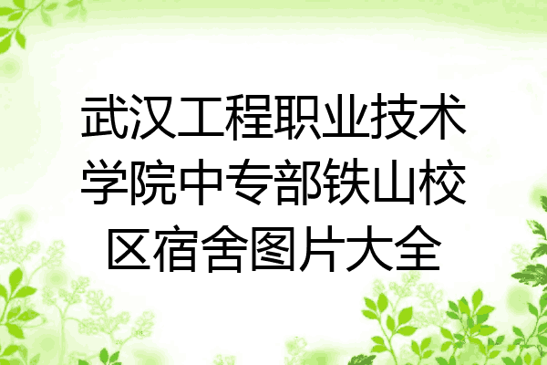 武汉工程职业技术学院中专部铁山校区宿舍图片大全