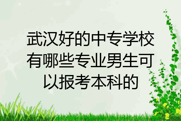 武汉好的中专学校有哪些专业男生可以报考本科的