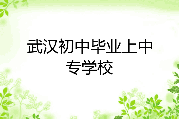 武汉初中毕业上中专学校