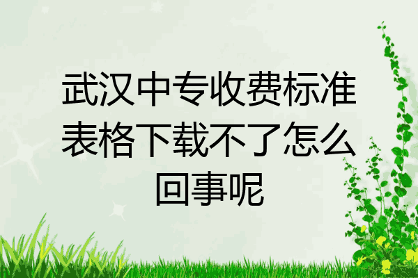 武汉中专收费标准表格下载不了怎么回事呢