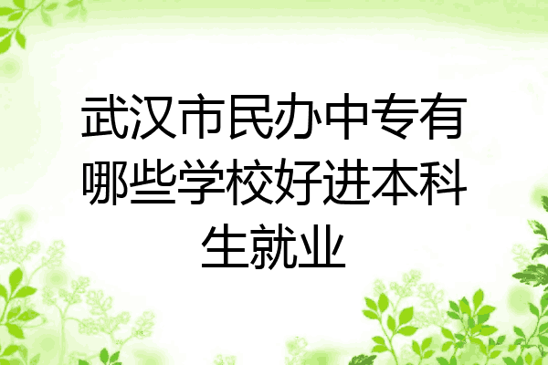 武汉市民办中专有哪些学校好进本科生就业
