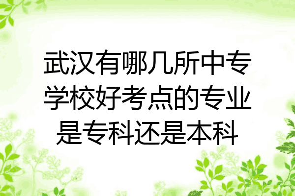 武汉有哪几所中专学校好考点的专业是专科还是本科