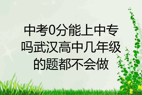 中考0分能上中专吗武汉高中几年级的题都不会做