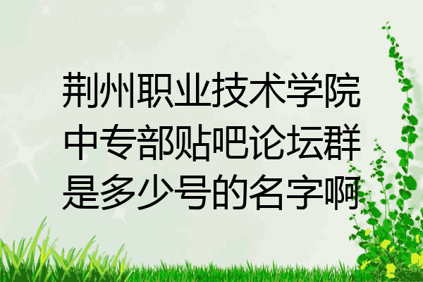 荆州职业技术学院中专部贴吧论坛群是多少号的名字啊