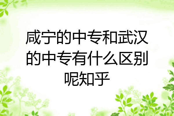 咸宁的中专和武汉的中专有什么区别呢知乎