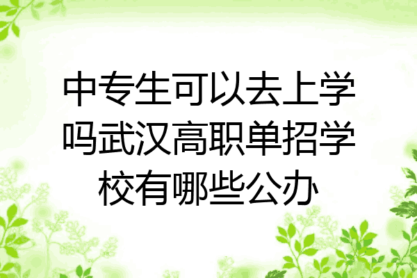 中专生可以去上学吗武汉高职单招学校有哪些公办