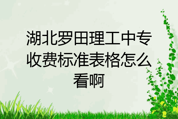 湖北罗田理工中专收费标准表格怎么看啊