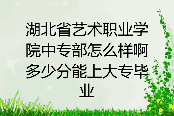 湖北省艺术职业学院中专部怎么样啊多少分能上大专毕业