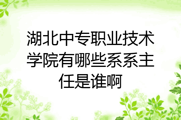 湖北中专职业技术学院有哪些系系主任是谁啊