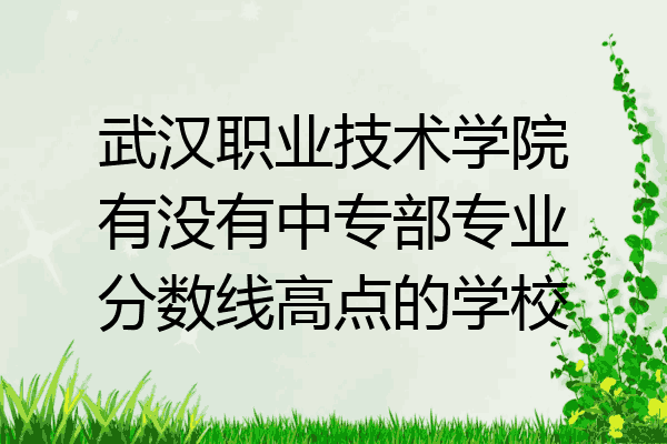 武汉职业技术学院有没有中专部专业分数线高点的学校