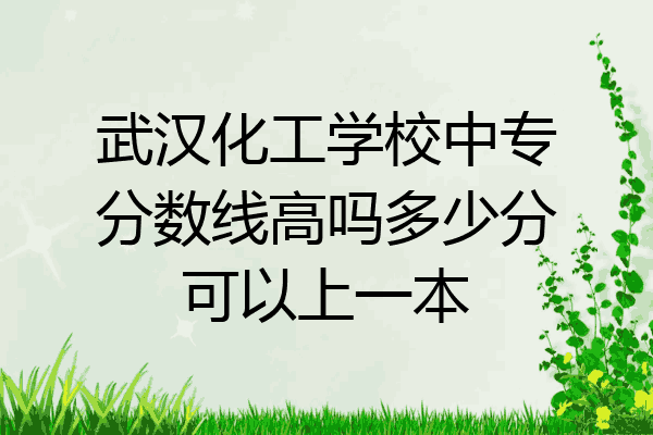 武汉化工学校中专分数线高吗多少分可以上一本