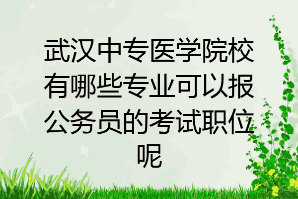 武汉中专医学院校有哪些专业可以报公务员的考试职位呢