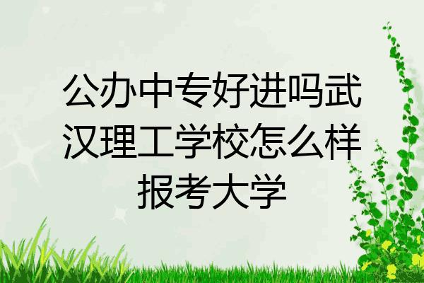 公办中专好进吗武汉理工学校怎么样报考大学