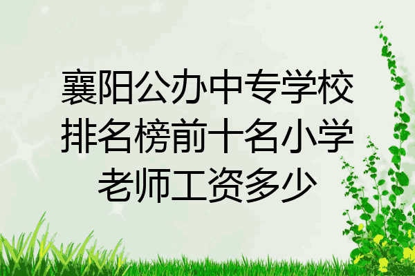襄阳公办中专学校排名榜前十名小学老师工资多少