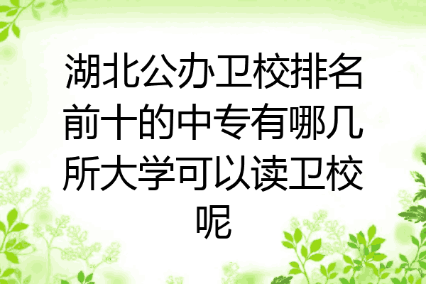 湖北公办卫校排名前十的中专有哪几所大学可以读卫校呢