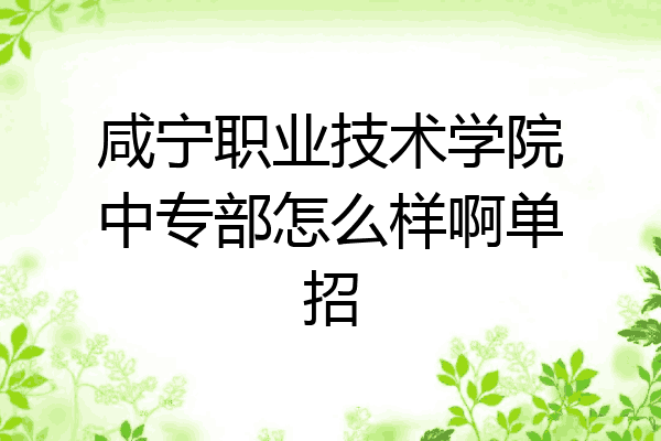 咸宁职业技术学院中专部怎么样啊单招