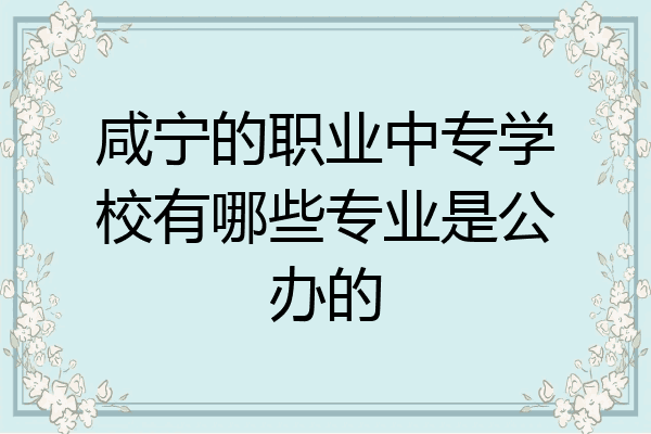 咸宁的职业中专学校有哪些专业是公办的