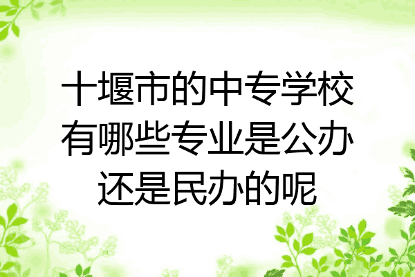 十堰市的中专学校有哪些专业是公办还是民办的呢