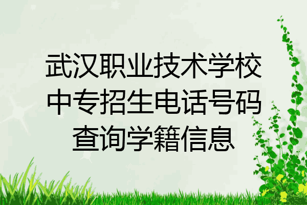 武汉职业技术学校中专招生电话号码查询学籍信息