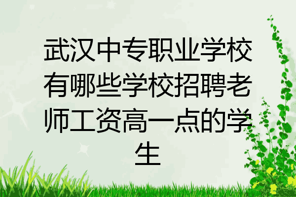 武汉中专职业学校有哪些学校招聘老师工资高一点的学生
