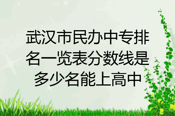 武汉市民办中专排名一览表分数线是多少名能上高中