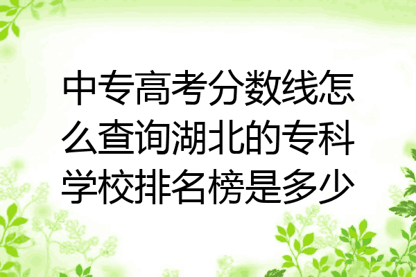 中专高考分数线怎么查询湖北的专科学校排名榜是多少