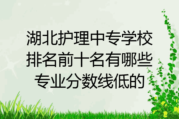 湖北护理中专学校排名前十名有哪些专业分数线低的