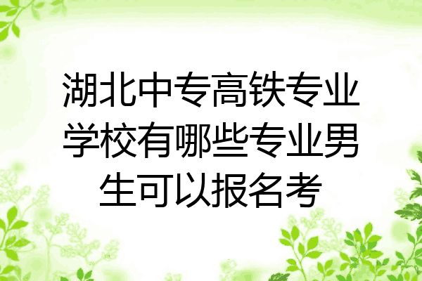 湖北中专高铁专业学校有哪些专业男生可以报名考