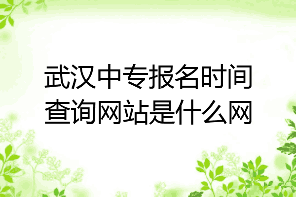 武汉中专报名时间查询网站是什么网