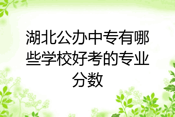 湖北公办中专有哪些学校好考的专业分数