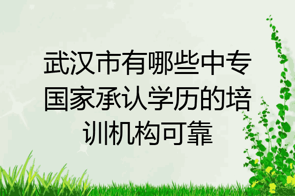 武汉市有哪些中专国家承认学历的培训机构可靠