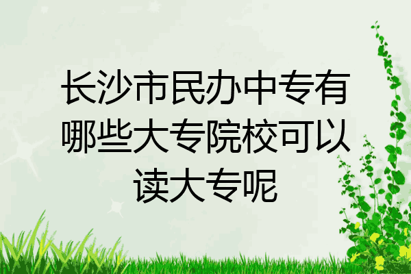 长沙市民办中专有哪些大专院校可以读大专呢