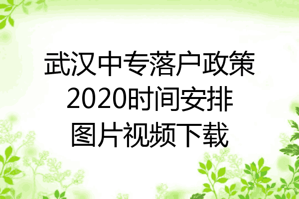 武汉中专落户政策2020时间安排图片视频下载