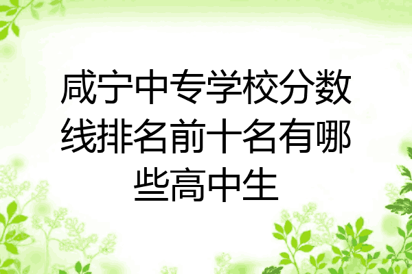 咸宁中专学校分数线排名前十名有哪些高中生