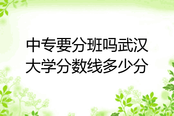 中专要分班吗武汉大学分数线多少分