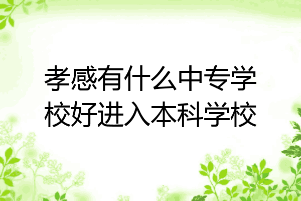 孝感有什么中专学校好进入本科学校