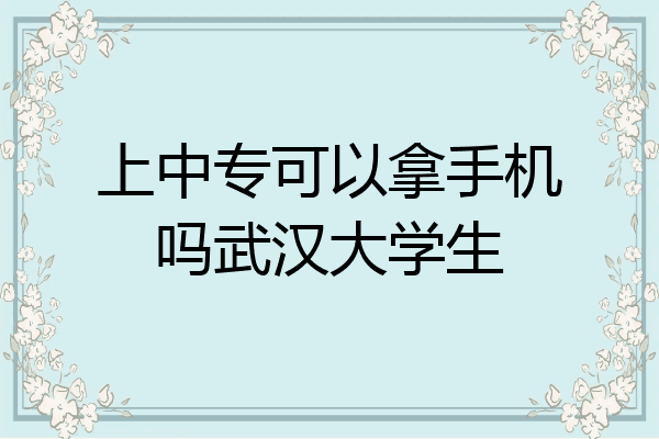 上中专可以拿手机吗武汉大学生