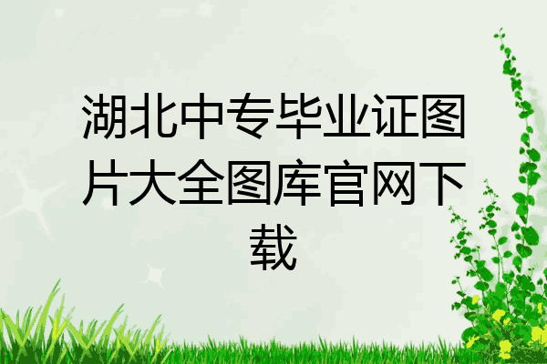 湖北中专毕业证图片大全图库官网下载