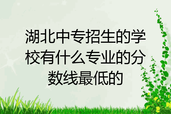 湖北中专招生的学校有什么专业的分数线最低的