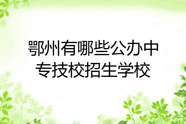 鄂州有哪些公办中专技校招生学校