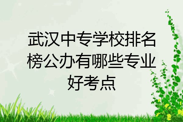 武汉中专学校排名榜公办有哪些专业好考点